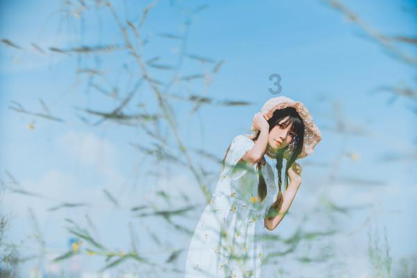 白孔雀救援